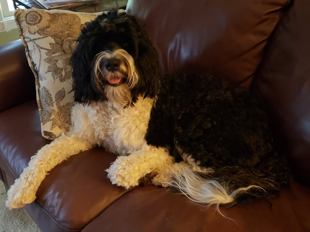 Jefferson Inn of Ellicottville主图