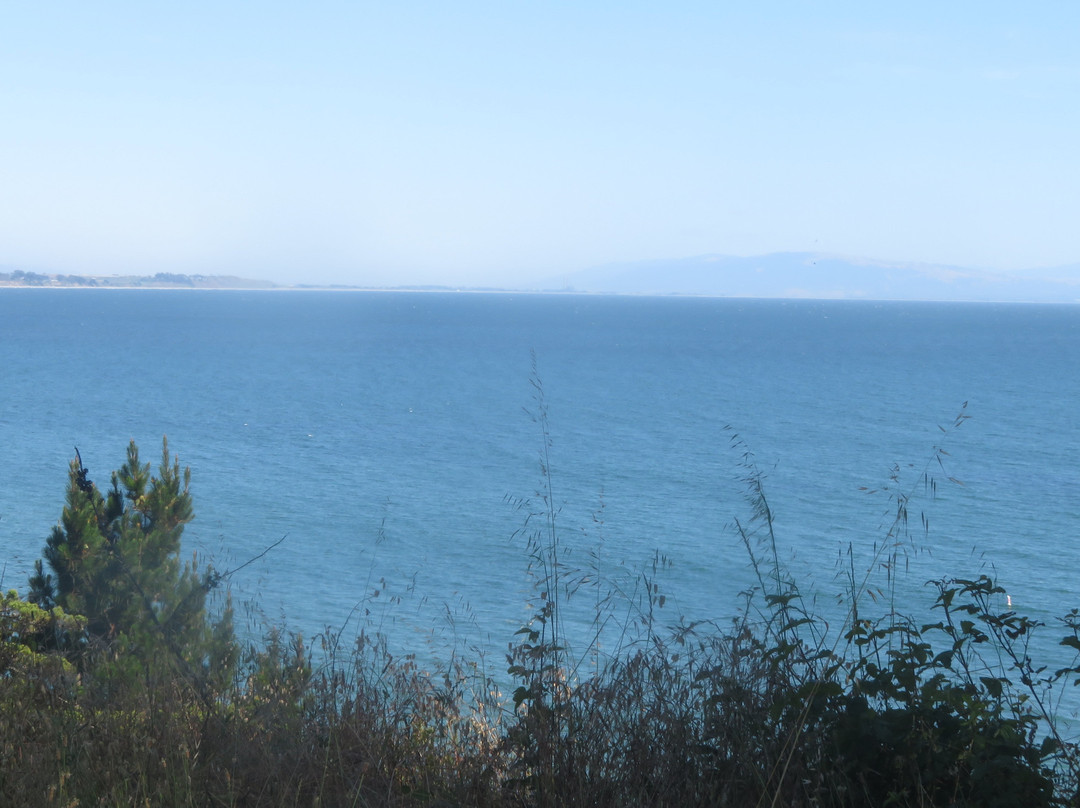 New Brighton State Beach-卡皮托拉必去景点