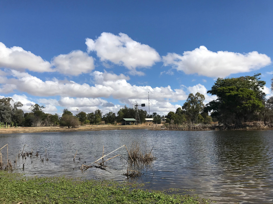 Waterloo Plains Environmental Park景点图片