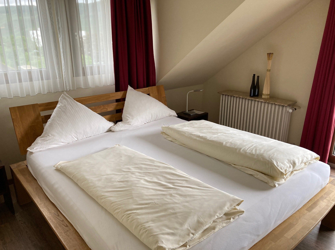 Christiana's Weinarthotel主图