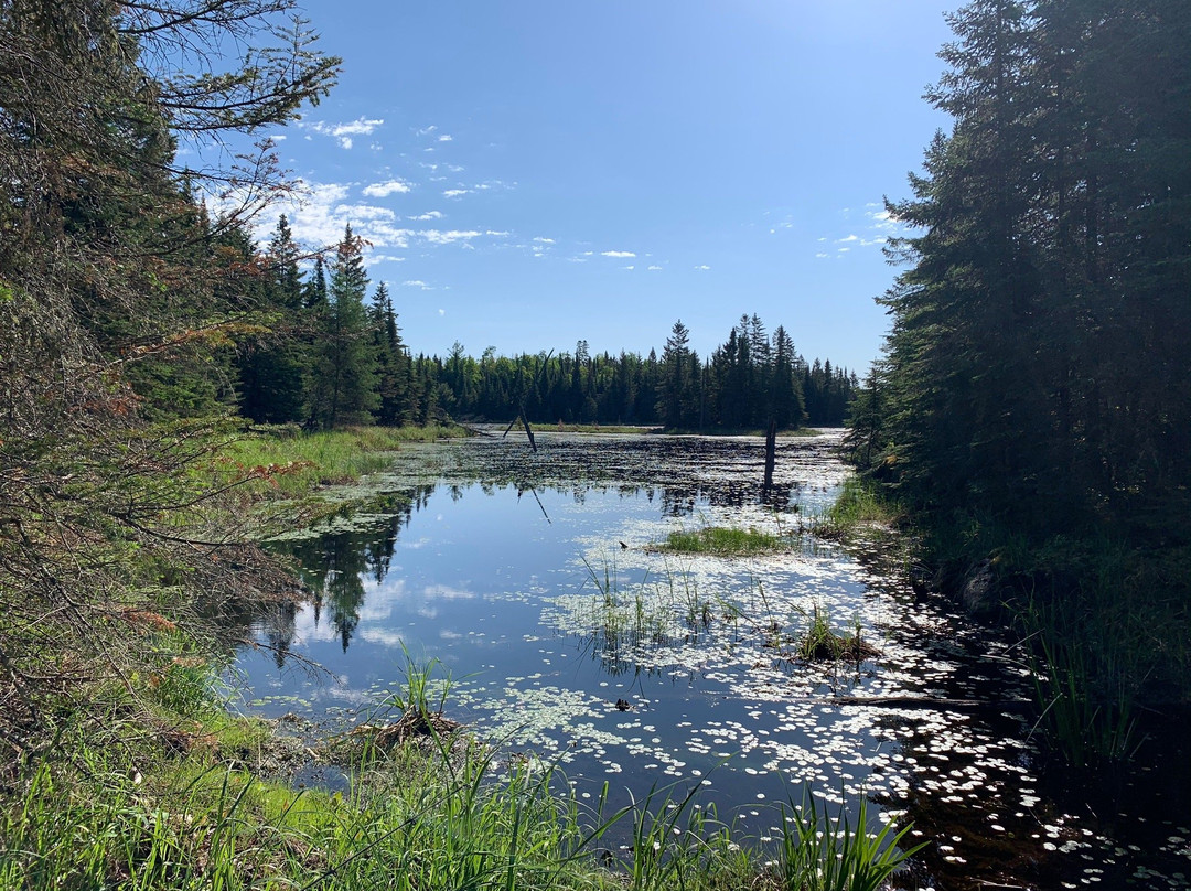 Locator Lake Trail景点图片