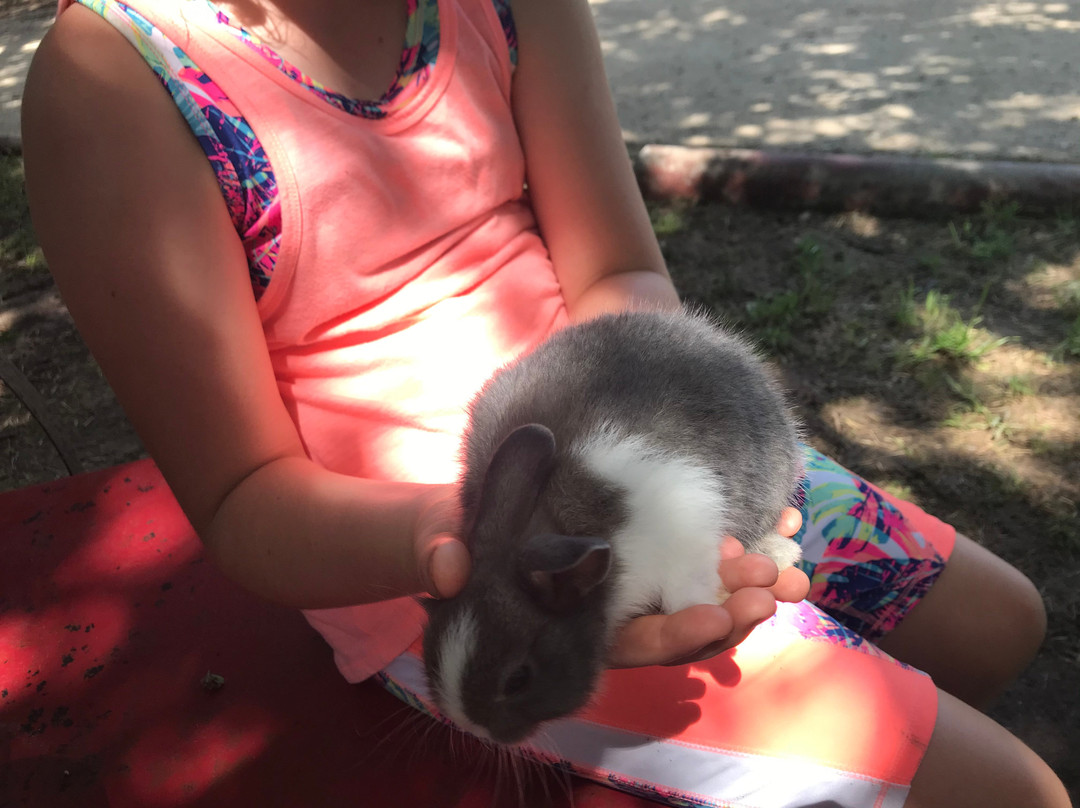 Country Woods Inn主图