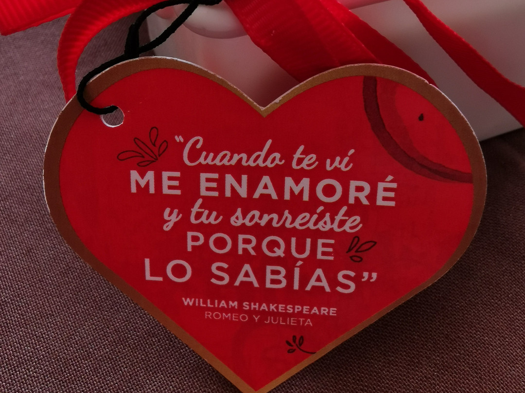 Hotel Iguana Verde主图