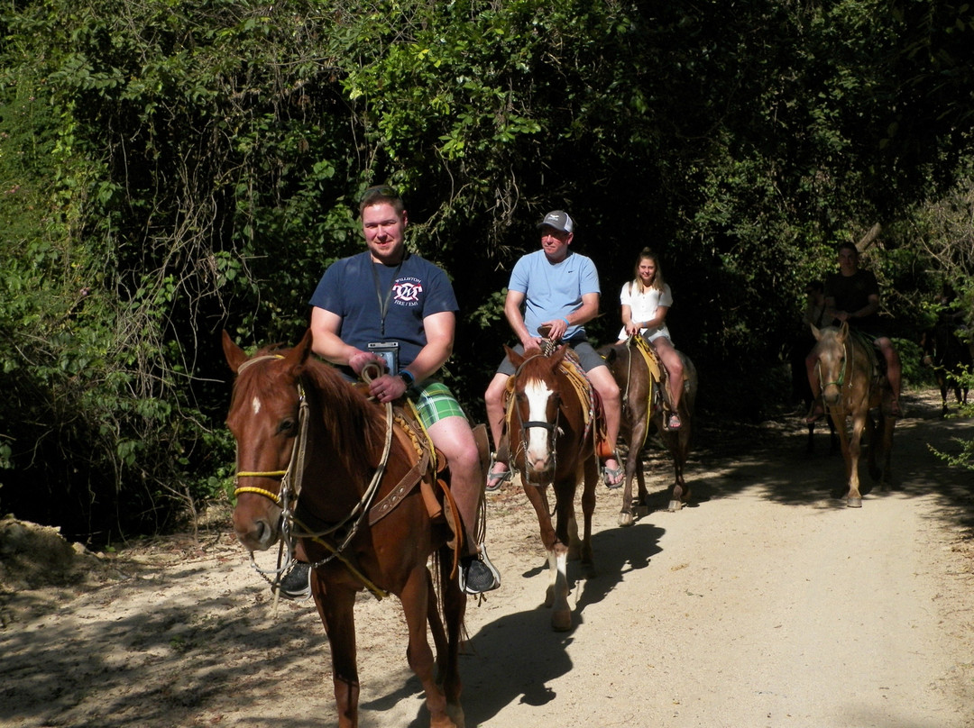 Rancho Manolo Horseback Tours-Mismaloya必去景点