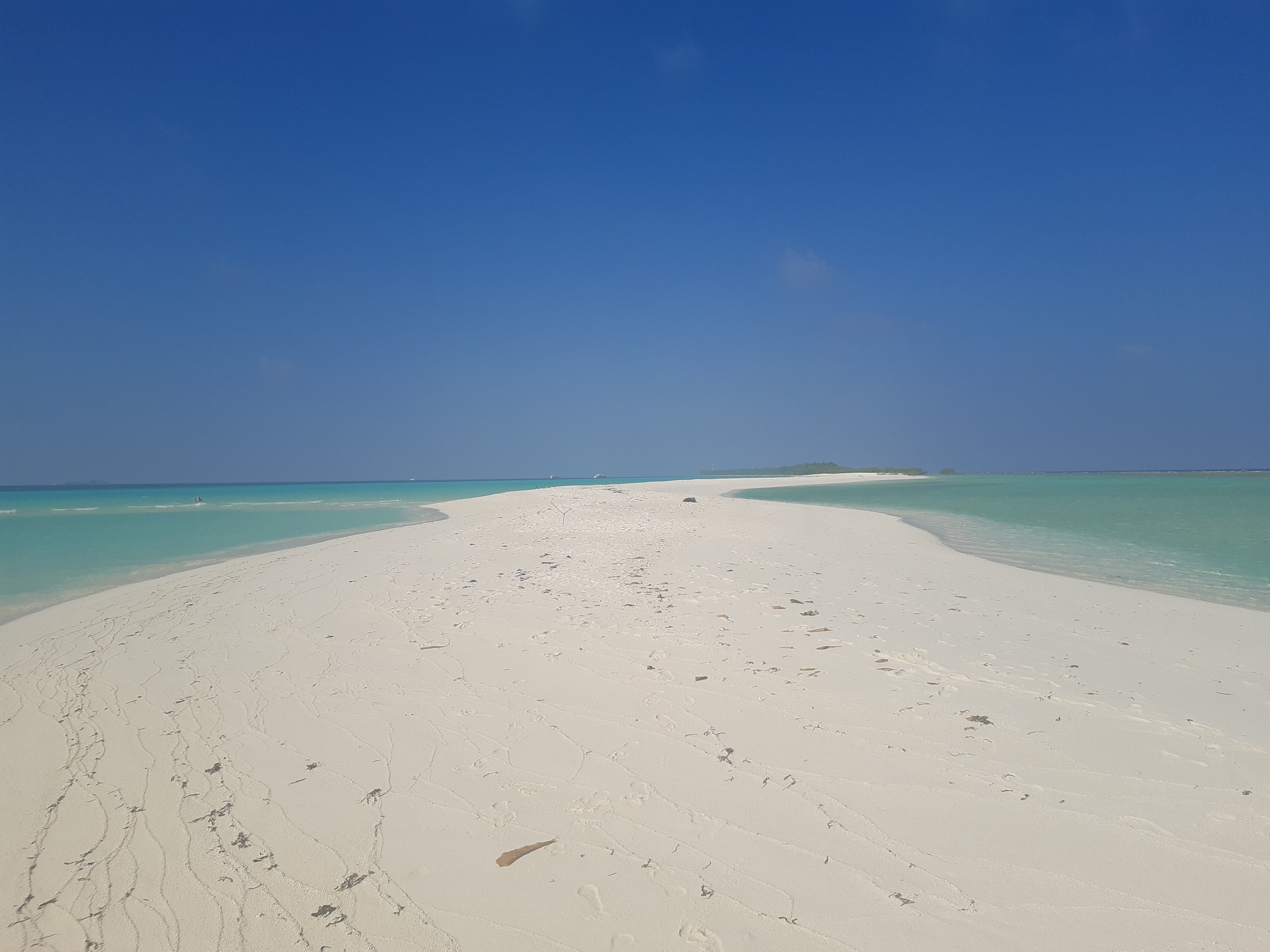 Dhiguveli Maldives-泳池