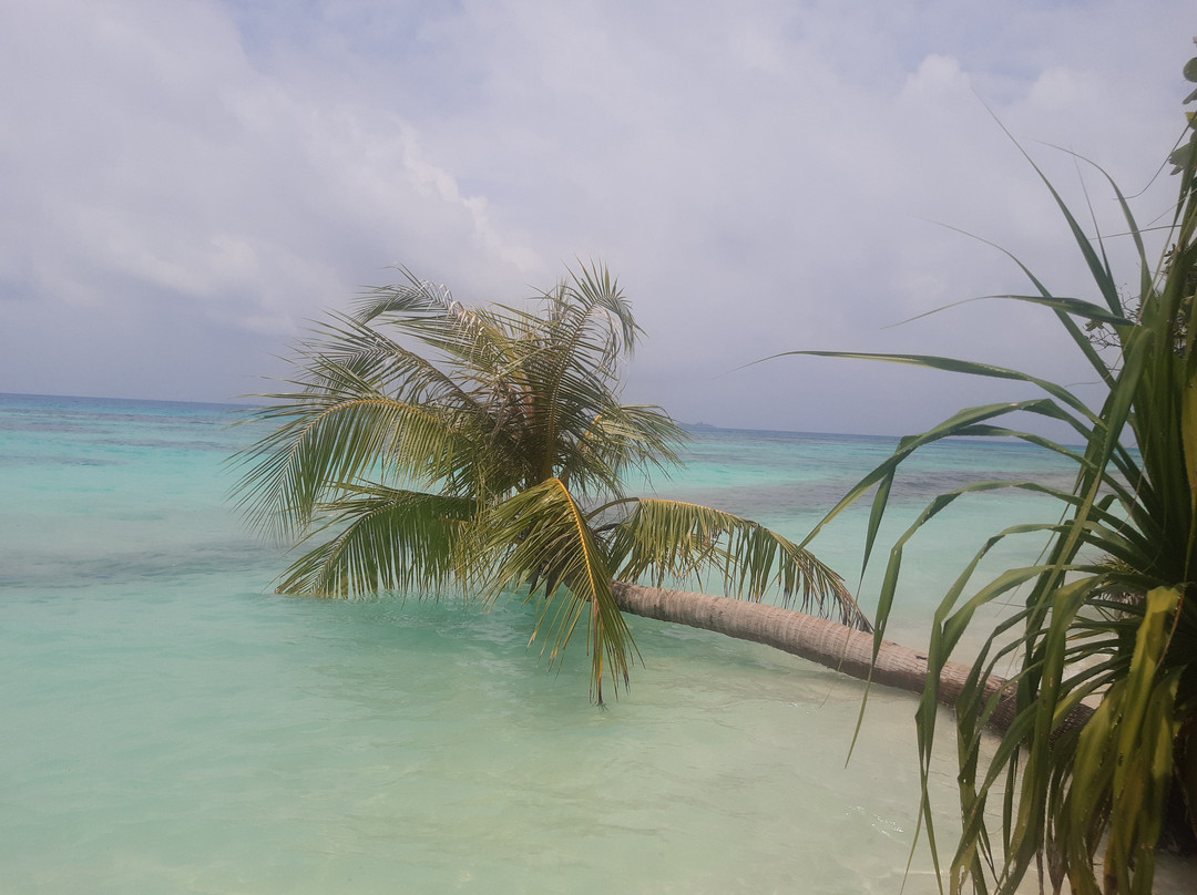 Dhiguveli Maldives主图