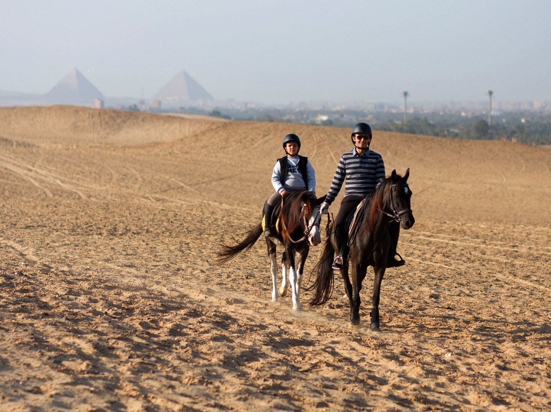 Egypt Horse Riding & Photography-开罗必去景点