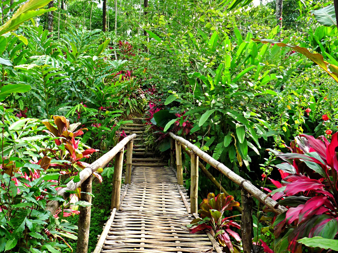 Plantage de Grote Tuin-Kalibaru必去景点