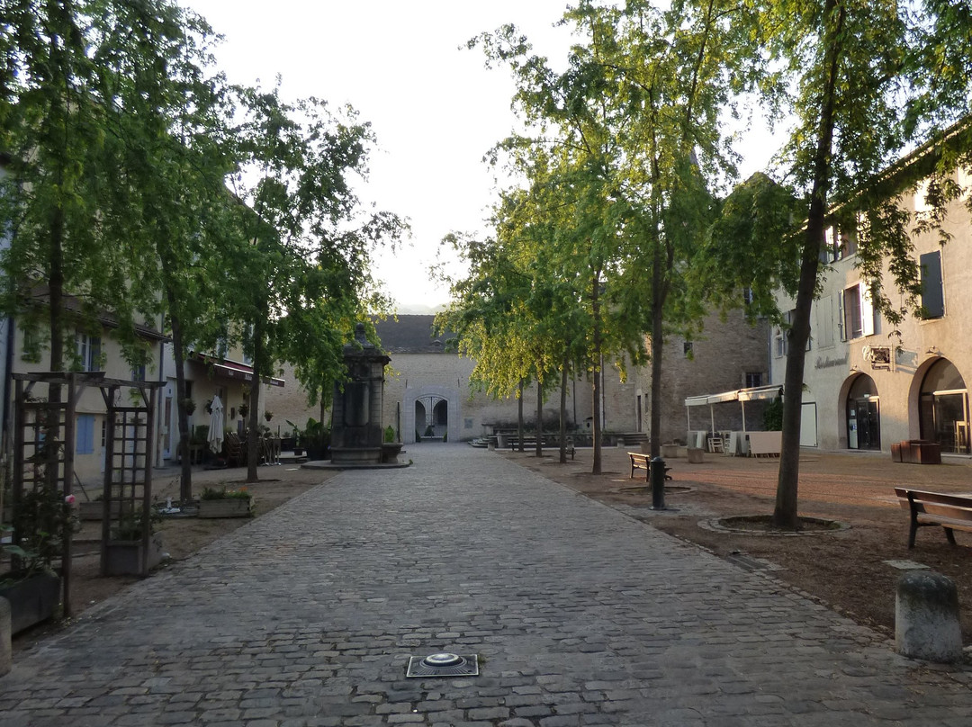 Les remparts de Cremieu景点图片