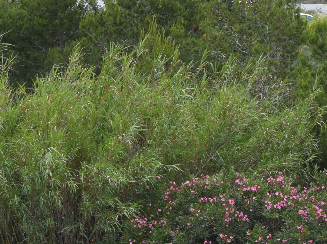 Iglesia San Jose El Saladillo-Mazarron必去景点