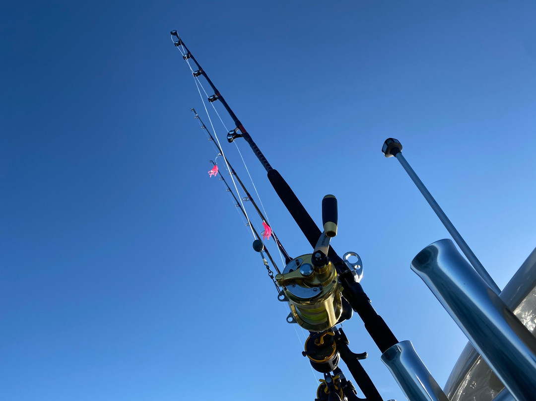 Whiptail Adventures-波特兰必去景点