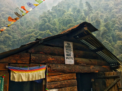 Zippi Trip-甘托克必去景点