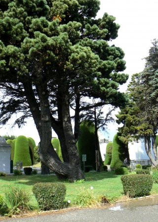 市政公墓-蓬塔阿雷纳斯必去景点