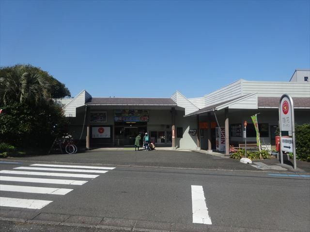 Tsubakihana Garden Squirrel Village-大岛町必去景点