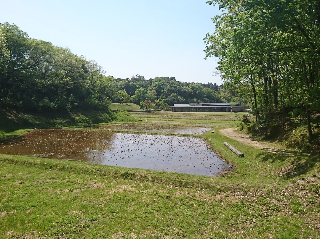 Kojindani Historical Park-出云市必去景点