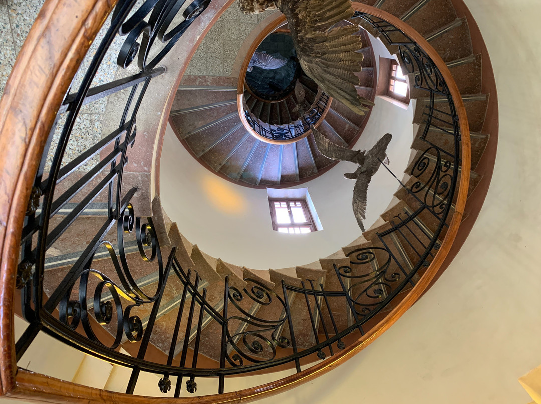 Museo Provincial de Ciencias Naturales y Oceanográfico景点图片