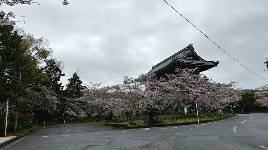 Negoro-ji Temple Daimon景点图片