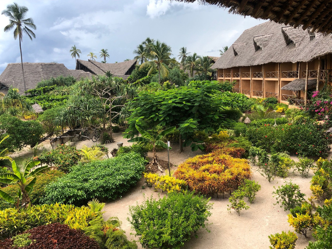 Zanzibar Queen Hotel主图