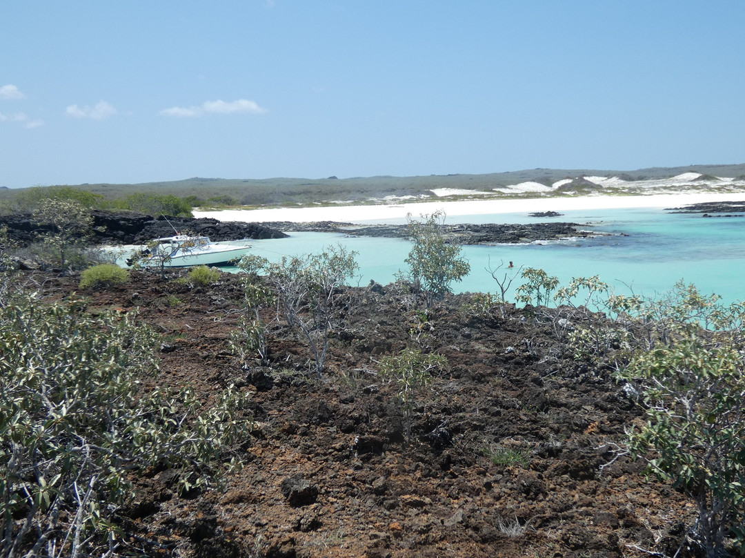 Rosa Blanca-圣克里斯托瓦尔必去景点