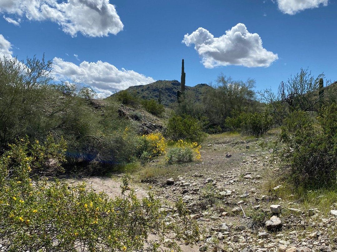 Estrella Mountain Regional Park-嘉年必去景点