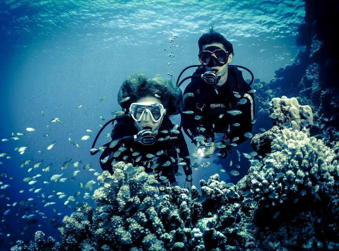 MaxDeep Dive Center-吉达必去景点