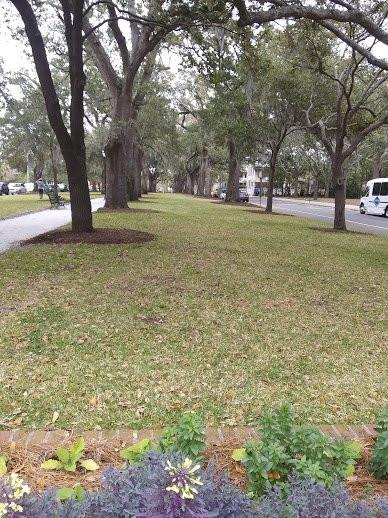 Charleston Visitor Center景点图片