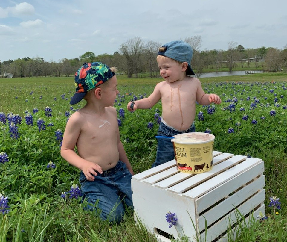 Blue Bell Creameries景点图片