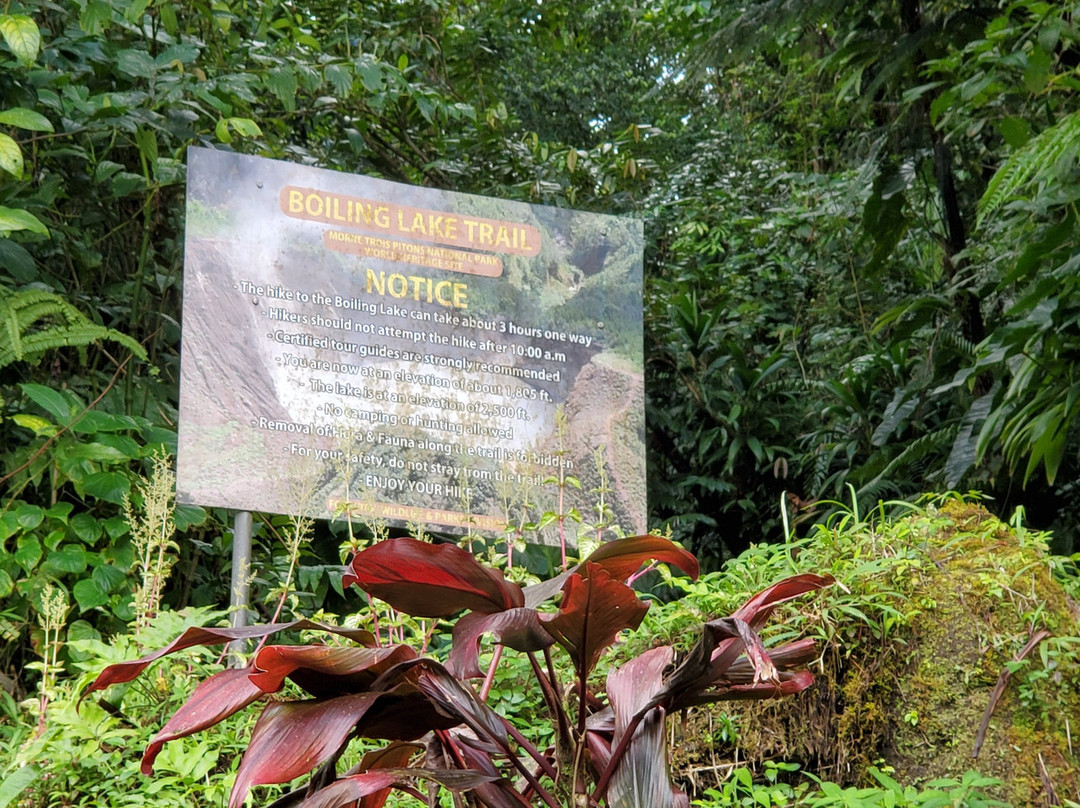 Just Go Dominica-多米尼克必去景点