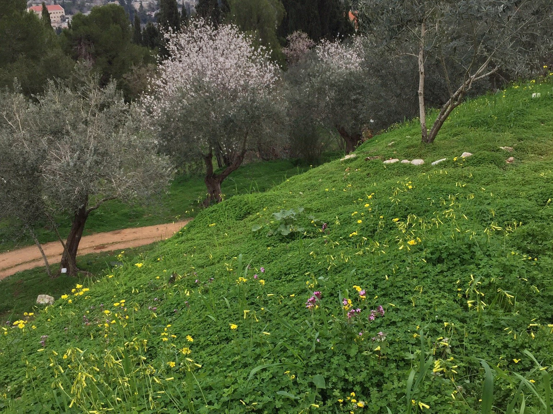 Gornenskiy Monastery-耶路撒冷必去景点