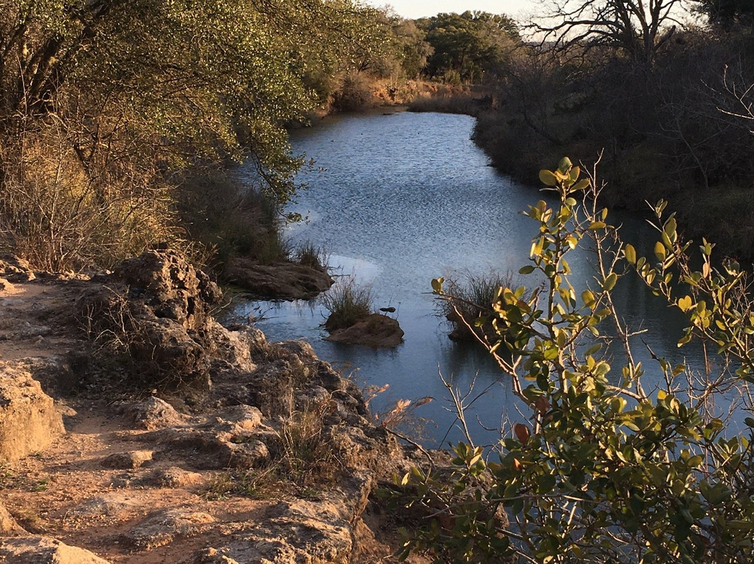 Lady Bird Johnson Municipal Park-弗雷德里克斯堡必去景点
