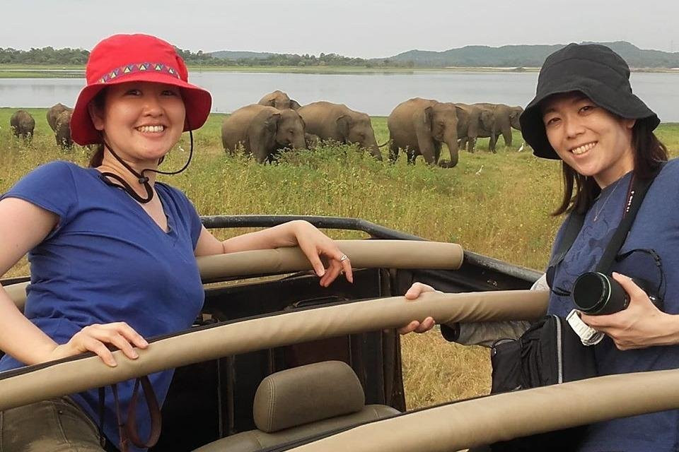 Minneriya Safari with Asela-哈巴拉娜必去景点