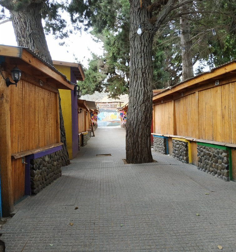 Paseo de Los Artesanos景点图片