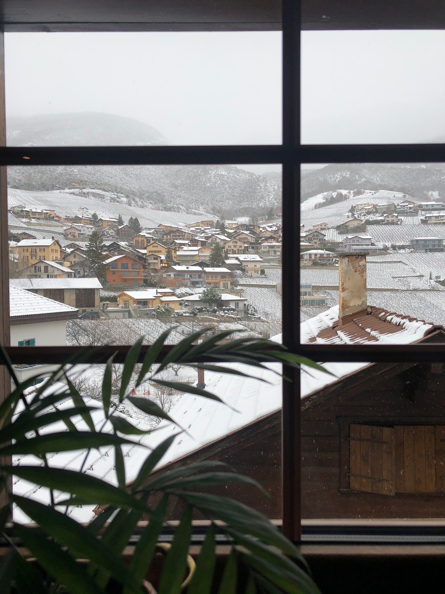 Chez les Dudu-官方