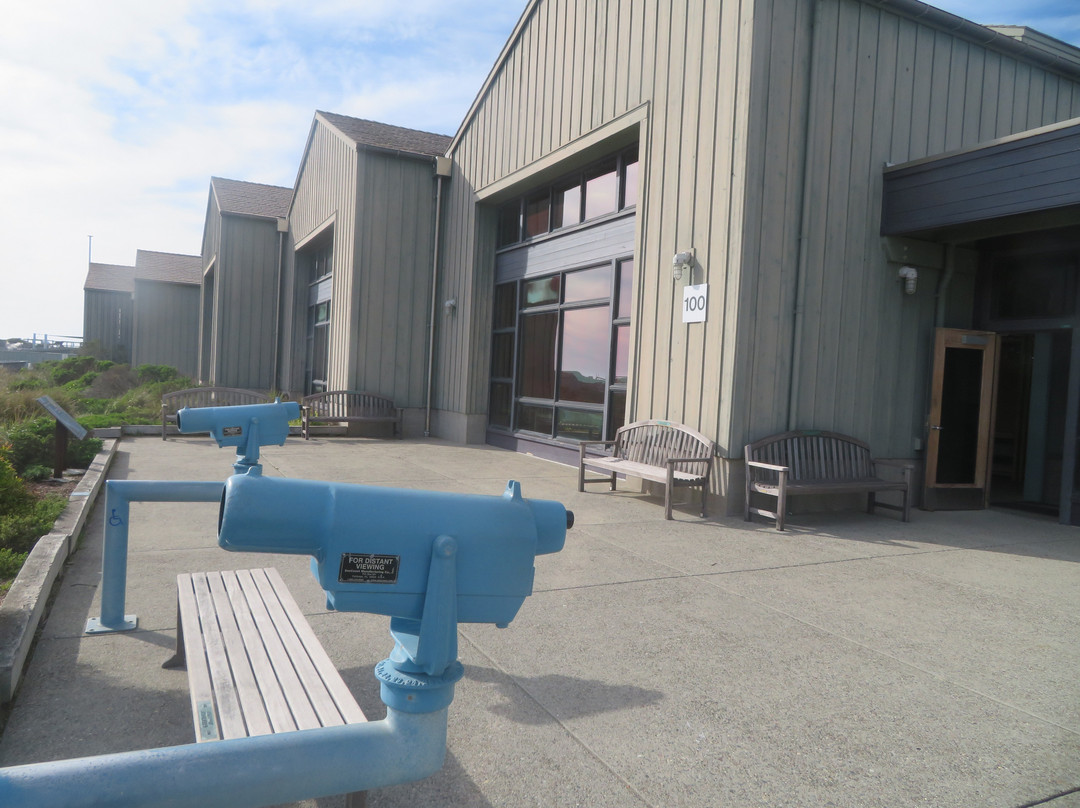 Seymour Marine Discovery Center-圣克鲁斯必去景点