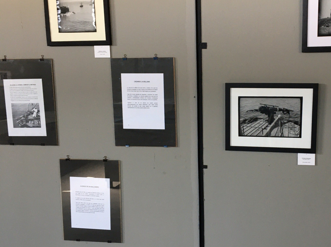 Museo Ex Ballenera de Quintay