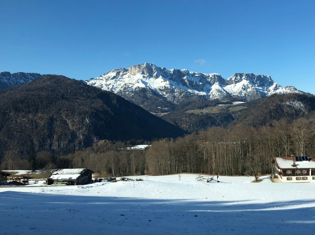 Bavarian Mountains and Salt Mines Tour-萨尔茨堡必去景点