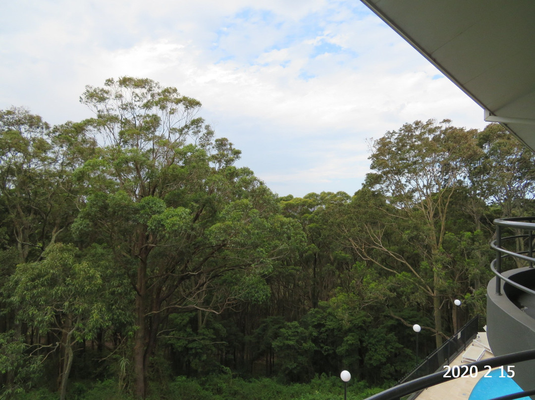 阿波罗国际优质酒店主图