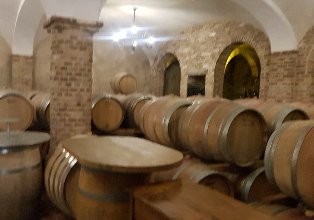 Agriturismo La Torricella景点图片