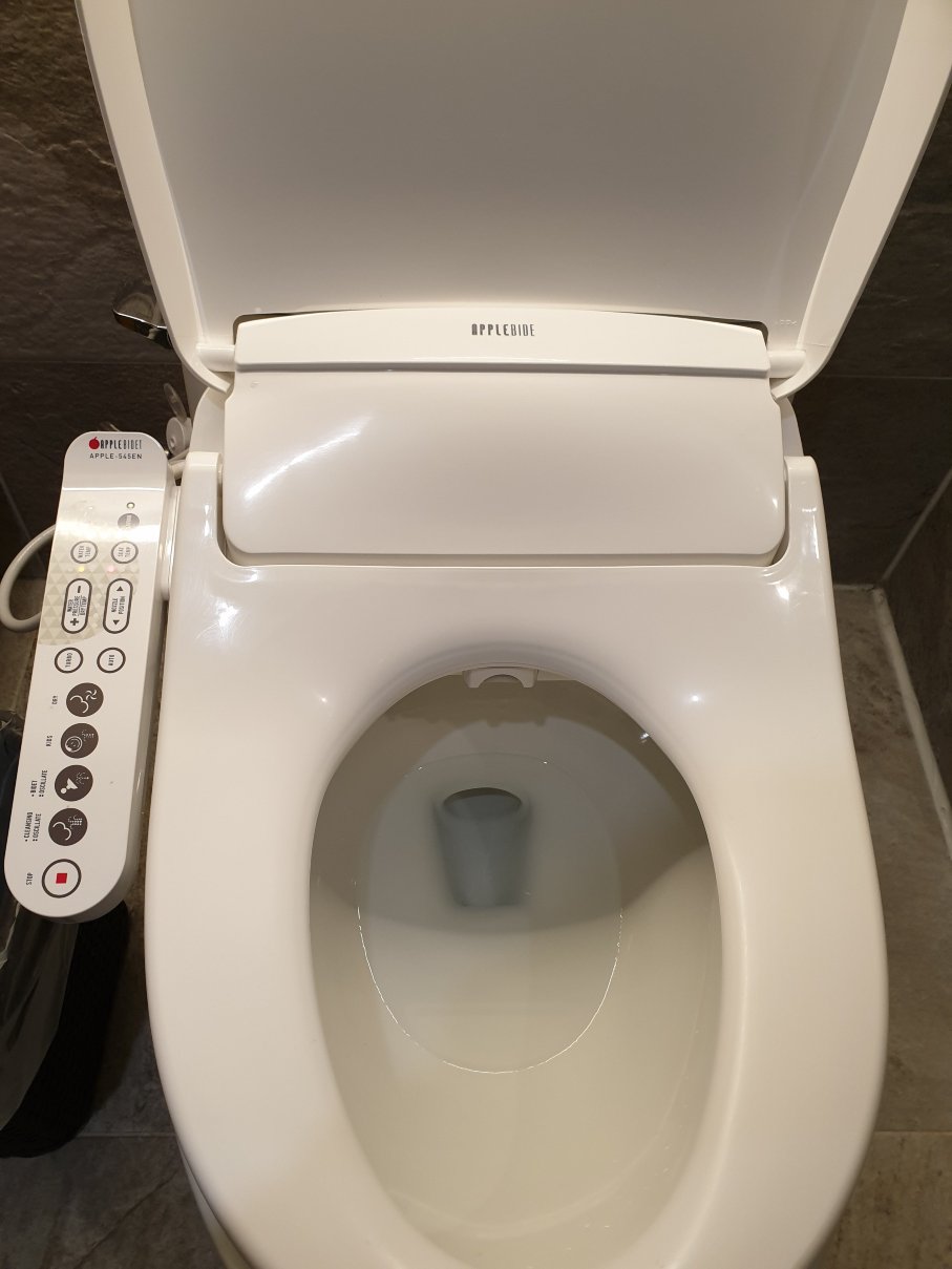 Sotetsu Hotels The Splaisir Seoul Dongdaemun-浴室