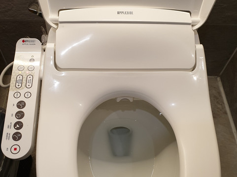 Sotetsu Hotels The Splaisir Seoul Dongdaemun主图