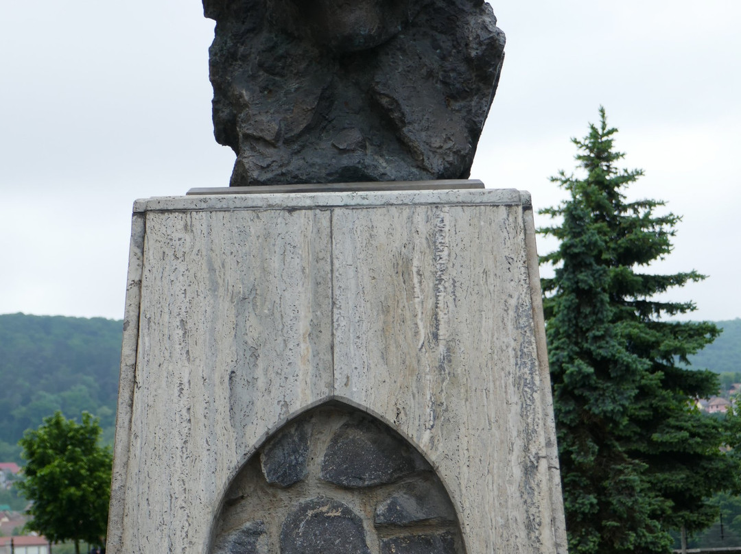 Centrul Istoric Sighișoara景点图片