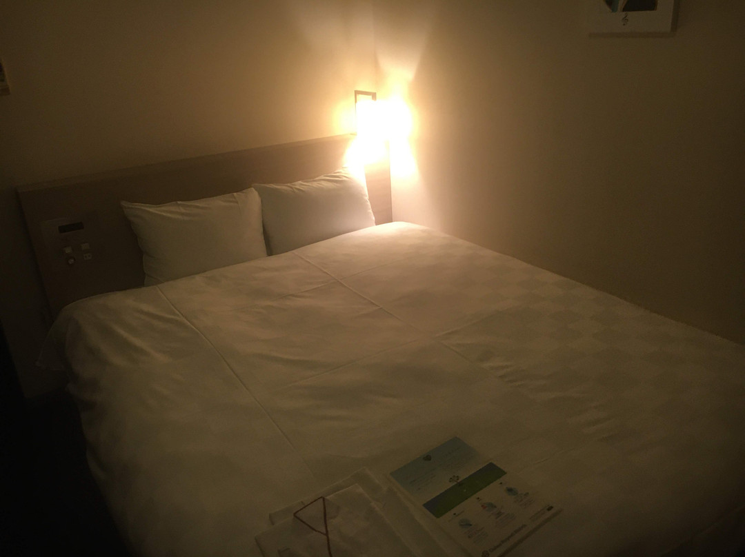 滨松大和鲁内酒店主图