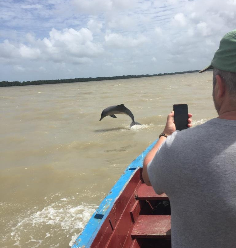 Commewijne River-帕拉马里博必去景点