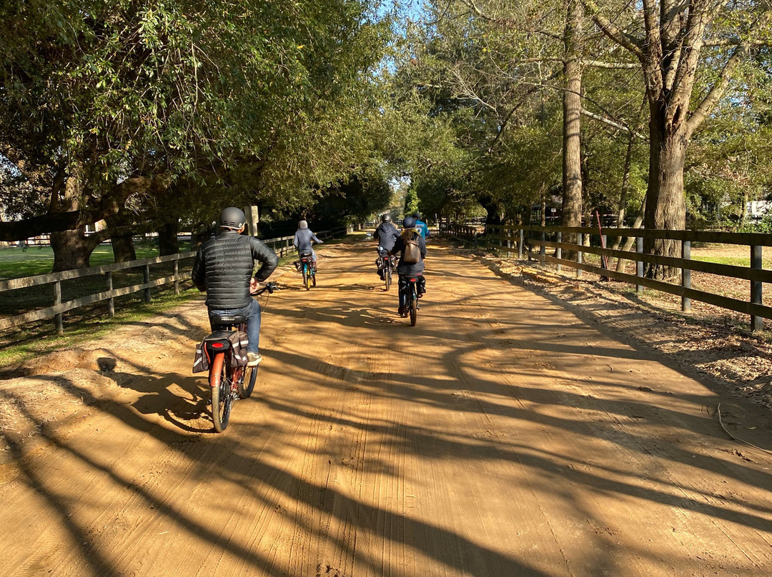 Pedego Electric Bikes-艾肯必去景点