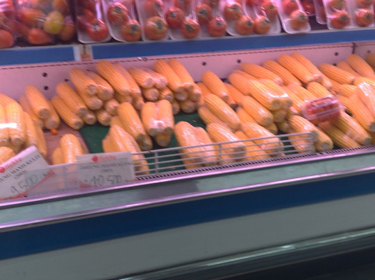 Hokky Buah Panglima Sudirman-泗水必去景点