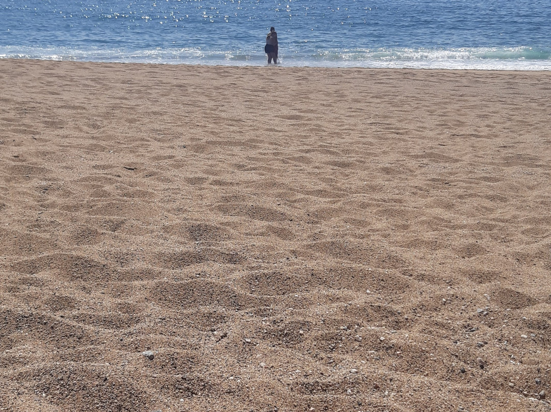 Laguna Verde Beach-Laguna Verde必去景点