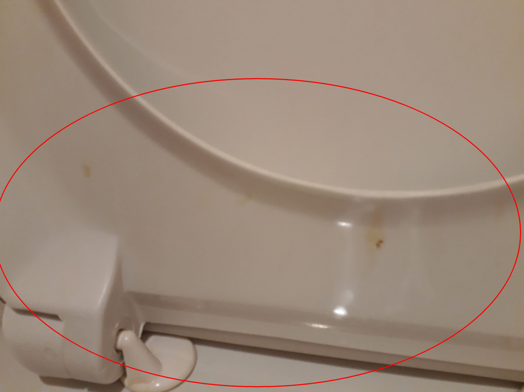 韦恩加顿贝斯特韦斯特公园酒店主图