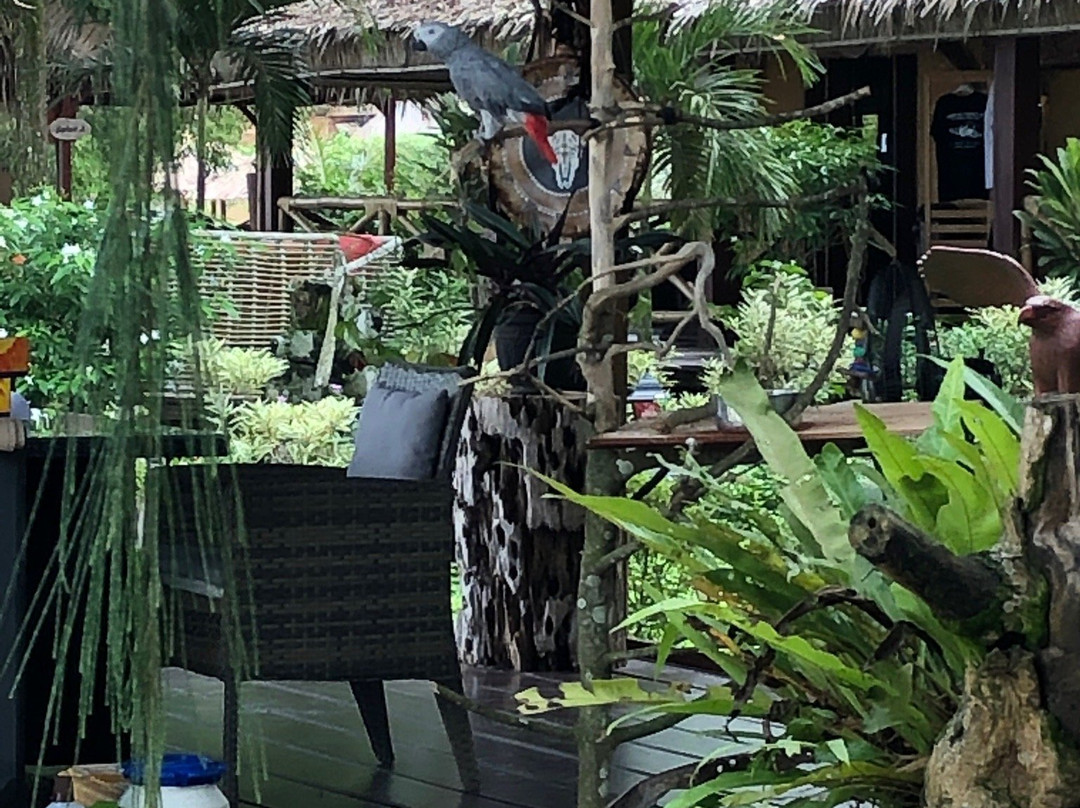 Hôtel La Baie des Tortues Luth主图