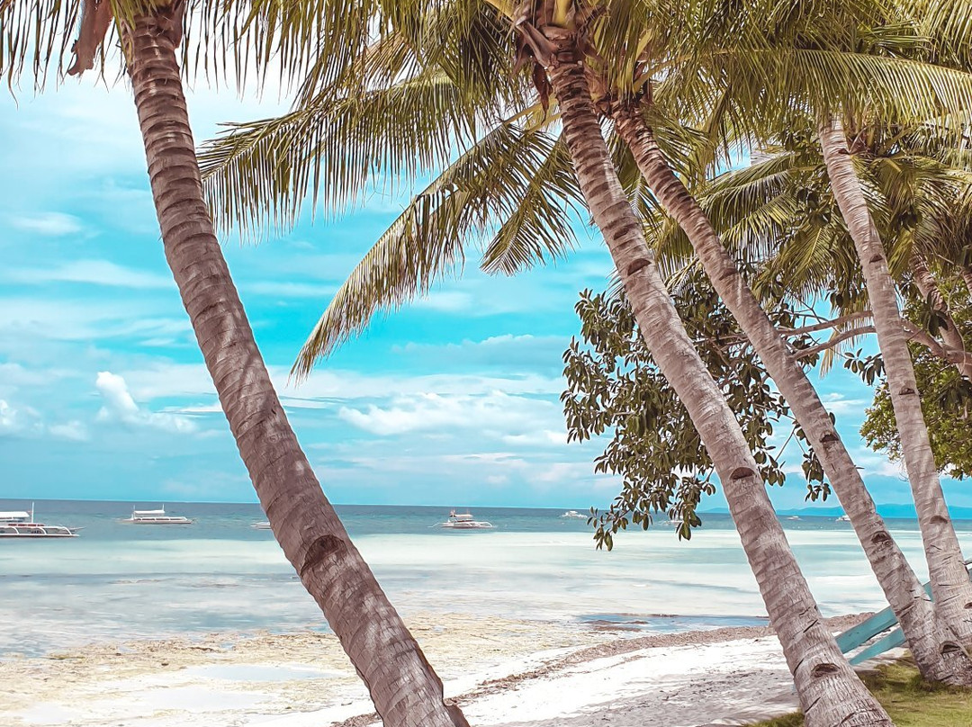 奇塞纳苏度假村主图