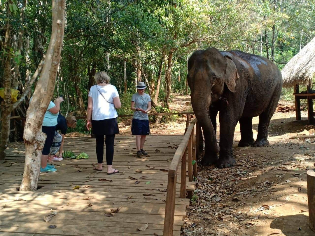 Mondulkiri Adventure Tour景点图片